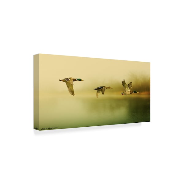 Carlos Casamayor 'Ducks Flying' Canvas Art,24x47